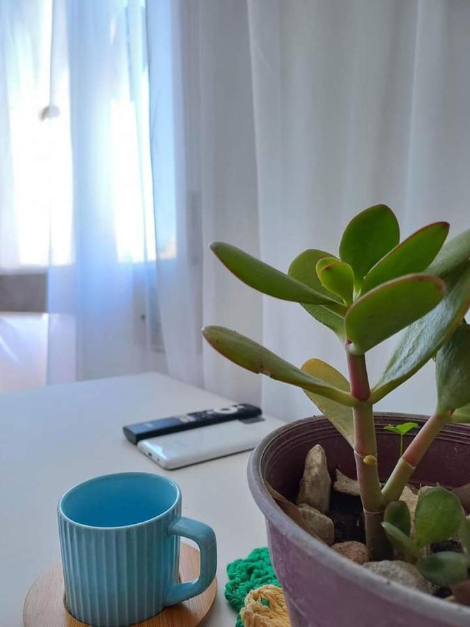 Alojamiento En Tigre Buenos Aires Hotel Luaran gambar